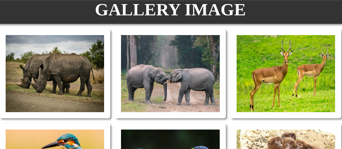 image-gallery